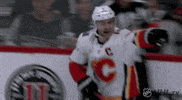 Happy Ice Hockey GIF by NHL