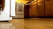 GIF by World’s Funniest