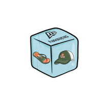 Newera Sticker by Havaianas