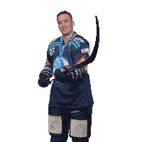 Hockey Hokej Sticker by HC Škoda Plzeň