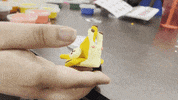 Snail GIF by The High School of Fashion Industries