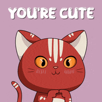 Cute Cat GIF by Kitaro World