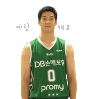 원주Db Sticker