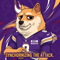 Shiba Inu Football GIF by Doge Pound