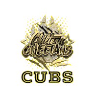 Cubs Cheerleading Sticker by Chiltern Cheetahs