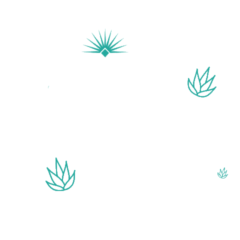 Summer Friday Sticker by PFA Tequila
