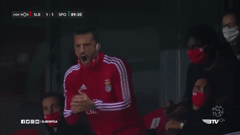 Celebrate Lets Go GIF by Sport Lisboa e Benfica