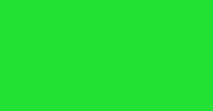Green Party Vote GIF by Green Party of England and Wales