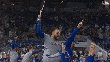 Home Run Celebration GIF by New York Mets