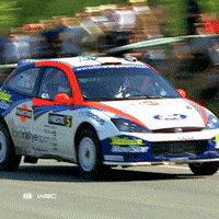 Ford Focus Motorsport GIF by FIA World Rally Championship