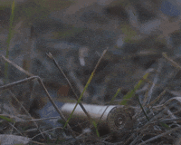 coffee tea GIF by Transgressive