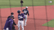 Flex Flexing GIF by Northwestern Athletics