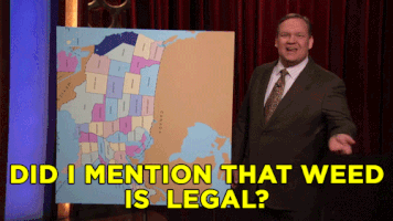 andy richter weed GIF by Team Coco