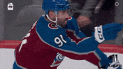 Happy Stanley Cup GIF by NHL