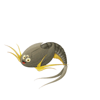 triopsking sea monkeys triops tadpole shrimps urzeitkrebse Sticker