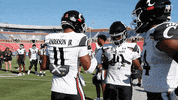 College Football Ncaa GIF by Cincinnati Bearcats