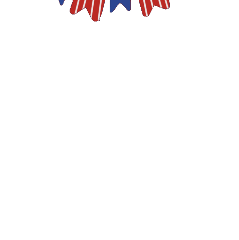 United Star Sticker by Demic