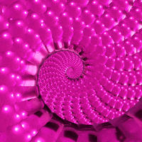 Snake Spiral GIF by Feliks Tomasz Konczakowski