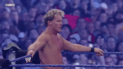 chris jericho wrestling GIF by WWE