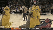 race sacramento GIF by NBA