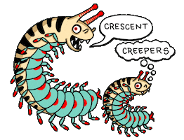Haleys36 bugs centipede creepy cute millipede Sticker