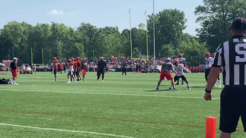 jburns1810 giphyupload GIF