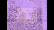 Low Tides GIF by Topshelf Records