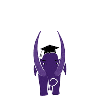 Graduation Commencement Sticker by Amherst College