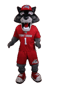 Stony Brook Sticker by Stony Brook University