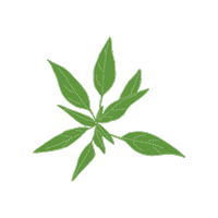 Foraging Sticker