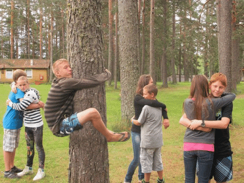 tree hugging GIF