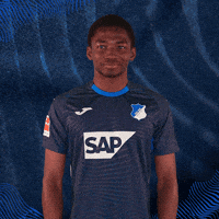 Sport Bundesliga GIF by TSG Hoffenheim