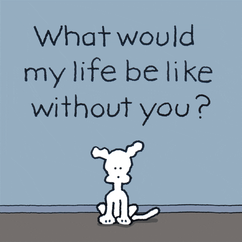 chippythedog love dogs i love you i miss you GIF