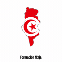 Tunisia Flag GIF by Formación Ninja