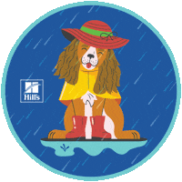 Happy Rainy Day Sticker by Hill's Pet Nutrition