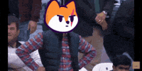 famousfoxfederation fff famous fox federation famous foxes GIF