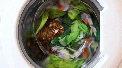 appliance_GIFs giphyupload GIF
