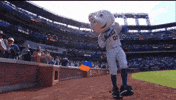 Baseball Mlb GIF by New York Mets