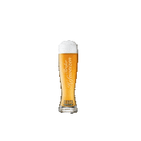 huberbraeu beer bier huber lovebeer Sticker