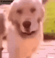 Disgusted Stay Away From Me GIF