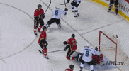 happy ice hockey GIF by NHL