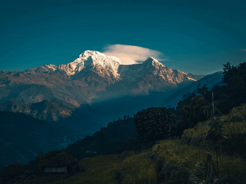 You Can Wow GIF by FranchiseONE.de