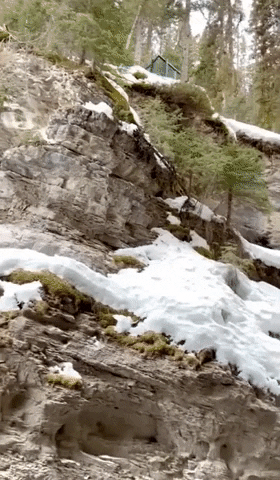 Banff National Park Canada GIF by Storyful