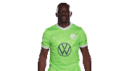 Happy Jerome Roussillon Sticker by VfL Wolfsburg