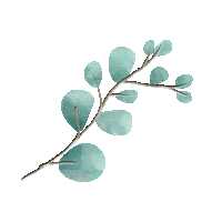 Wendy_design leaf campanule 樹葉 尤加利 Sticker