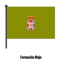 Flag Spain GIF by Formación Ninja