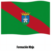 Bandera Granada GIF by Formación Ninja