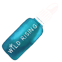 Stay Wild Feist Sticker
