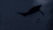 Sub Pop Animation GIF by Sub Pop Records