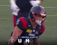 Celebration GIF
